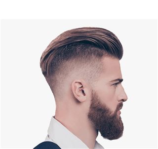 Anatomical Haircut